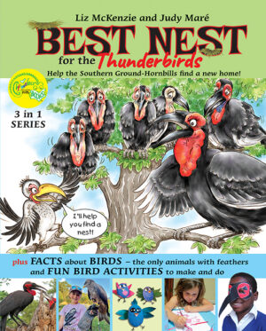 Best Nest for the Thunderbirds